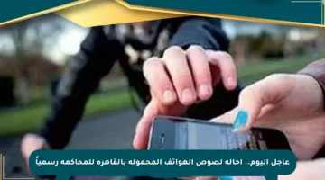 عاجل اليوم.. إحالة لصوص الهواتف المحمولة بالقاهرة للمحاكمة رسمياً